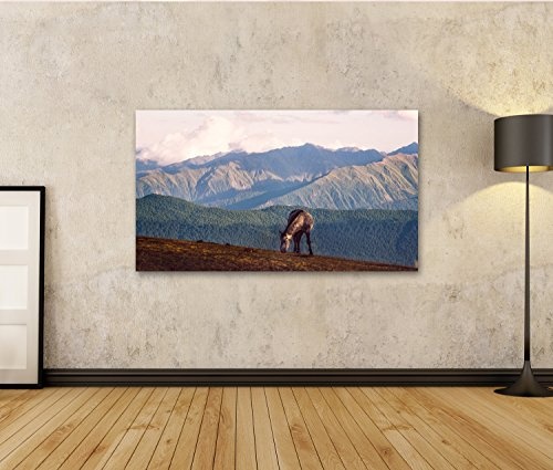 Bild Bilder auf Leinwand Wildes Pferd und schöne Berglandschaft in Nationalpark Svane Wandbild, Poster, Leinwandbild MGF