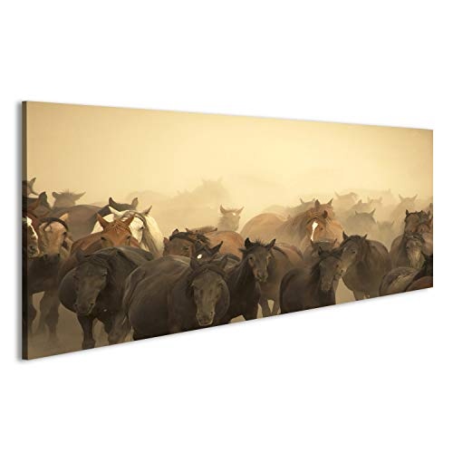 islandburner Bild auf Leinwand Eine Gruppe Wilde Pferde in der Natur. Wandbild, Poster, Leinwandbild IOZ-Pano