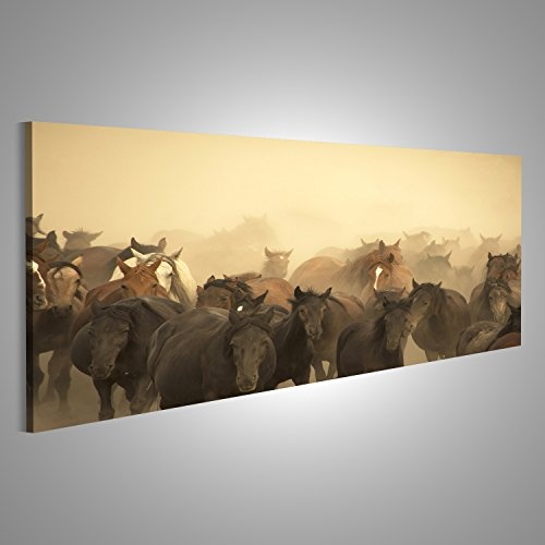islandburner Bild auf Leinwand Eine Gruppe Wilde Pferde in der Natur. Wandbild, Poster, Leinwandbild IOZ-Pano