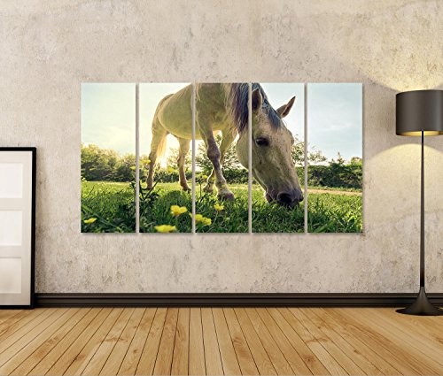 islandburner Bild auf Leinwand EIN Pferd lässt auf grüner Weide an Einem Hellen sonnigen Tag weiden. Ländliche Landschaft Wandbild, Poster, Leinwandbild IMR-5P