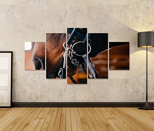 islandburner Bild auf Leinwand Nase ist Pferd. Nahaufnahmedetail des braunen Pferds, Zaum, Sattel. Wandbild, Poster, Leinwandbild IRS-MFP