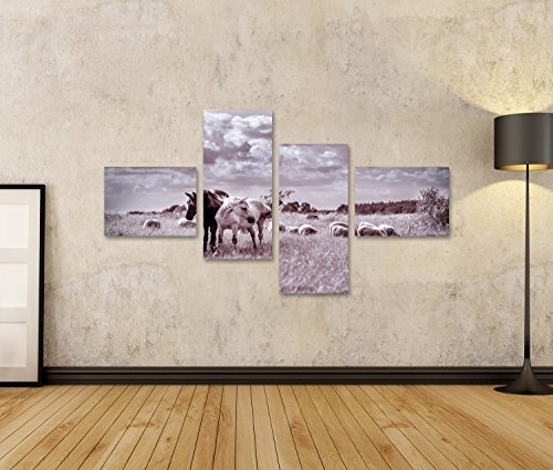 islandburner Bild Bilder auf Leinwand Brown und weiße Pferde und Schafe, die auf der Wiese weiden Lassen Vintage-Effekt Wandbild, Poster, Leinwandbild GZV