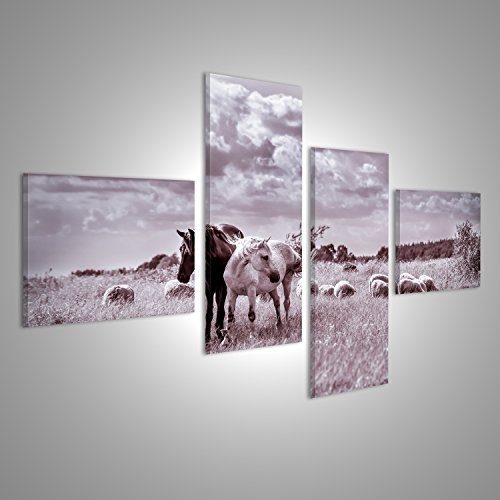 islandburner Bild Bilder auf Leinwand Brown und weiße Pferde und Schafe, die auf der Wiese weiden Lassen Vintage-Effekt Wandbild, Poster, Leinwandbild GZV