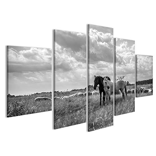 islandburner Bild Bilder auf Leinwand Brown und weiße Pferde und Schafe, die auf der Wiese weiden Lassen Vintage schwarz und weiß Wandbild, Poster, Leinwandbild HKJ