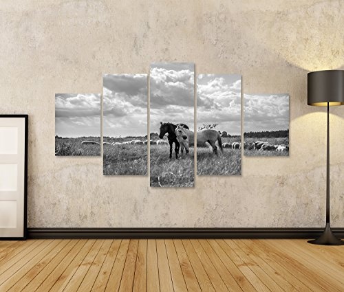 islandburner Bild Bilder auf Leinwand Brown und weiße Pferde und Schafe, die auf der Wiese weiden Lassen Vintage schwarz und weiß Wandbild, Poster, Leinwandbild HKJ