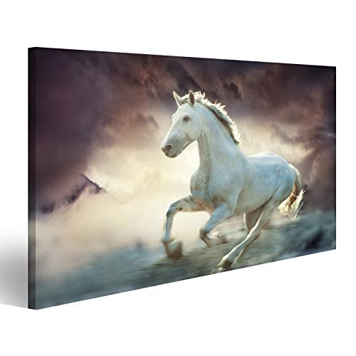 islandburner Bild Bilder auf Leinwand weißes laufendes Pferd, Himmelphantasiehintergrund, kleine Menge hinzugefügtes Korn Wandbild, Poster, Leinwandbild GNG