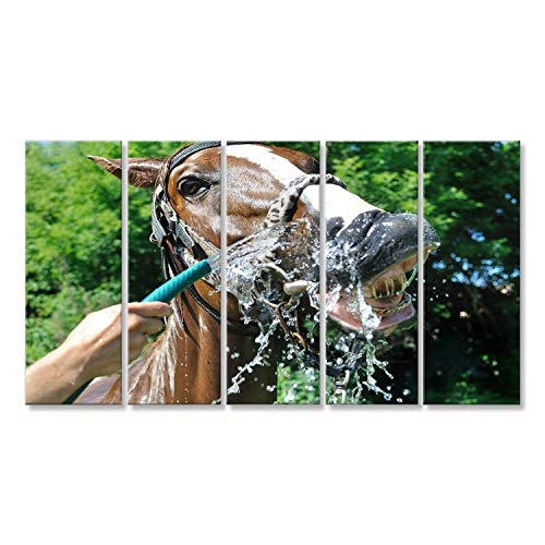 islandburner Bild Bilder auf Leinwand Zufriedenes glückliches Pferd gekühlt von Wasser in heißem Wetter in Serie, 4 von 4 Wandbild, Poster, Leinwandbild EUK
