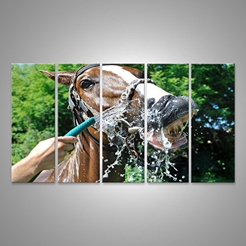 islandburner Bild Bilder auf Leinwand Zufriedenes glückliches Pferd gekühlt von Wasser in heißem Wetter in Serie, 4 von 4 Wandbild, Poster, Leinwandbild EUK