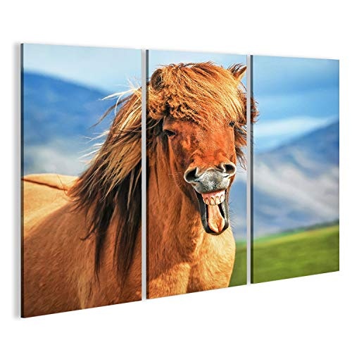 islandburner Bild Bilder auf Leinwand Isländisches Pferd lächelnd Wandbild Leinwandbild Poster DEE