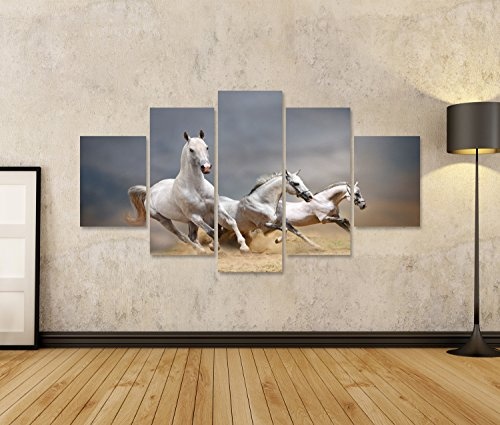 islandburner Bild Bilder auf Leinwand Weiße Pferde Wandbild Leinwandbild Poster DAB