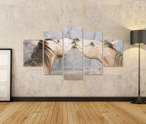 islandburner Bild Bilder auf Leinwand Pferde Wandbild...
