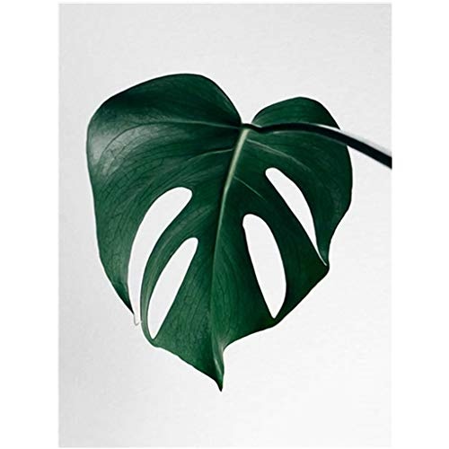 Yooshen Leinwandbild Blätter & Pflanzen Leinwand, Bilder auf Leinwand & Leinwanddrucke von unabhängigen Künstlern - Botanische Kunst mit Pflanzen (C)
