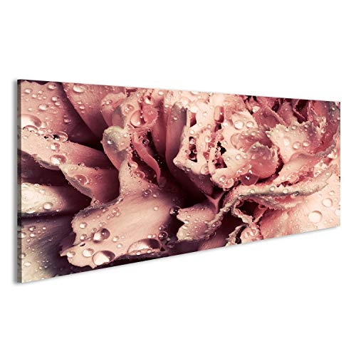 islandburner Bild Bilder auf Leinwand Rosa nass Nelke Blume Nahaufnahme der Blütenblätter. Vintage-Version. Groß als H Wandbild Leinwandbild Poster DJQ