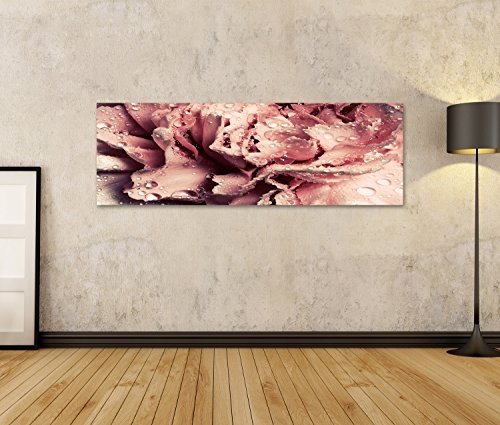 islandburner Bild Bilder auf Leinwand Rosa nass Nelke Blume Nahaufnahme der Blütenblätter. Vintage-Version. Groß als H Wandbild Leinwandbild Poster DJQ