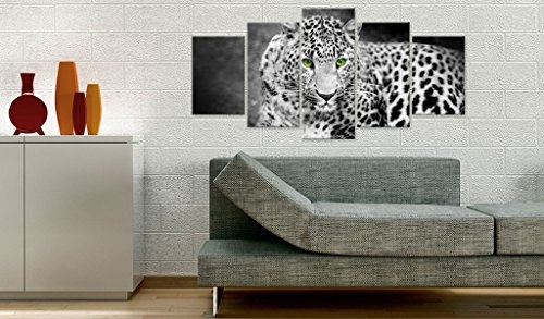 murando - Bilder 200x100 cm Vlies Leinwandbild 5 TLG Kunstdruck modern Wandbilder XXL Wanddekoration Design Wand Bild - Tier g-A-0086-b-p