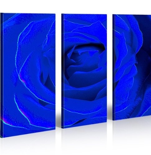 islandburner Bild Bilder auf Leinwand Blue Rose Pop Art...