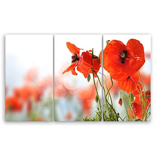 ge Bildet® hochwertiges Leinwandbild XXL Pflanzen Bilder - Mohn - Blumen Rot Natur - 165 x 100 cm mehrteilig (3 teilig) 2206 D