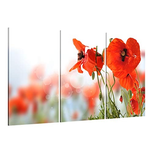 ge Bildet® hochwertiges Leinwandbild XXL Pflanzen Bilder - Mohn - Blumen Rot Natur - 165 x 100 cm mehrteilig (3 teilig) 2206 D