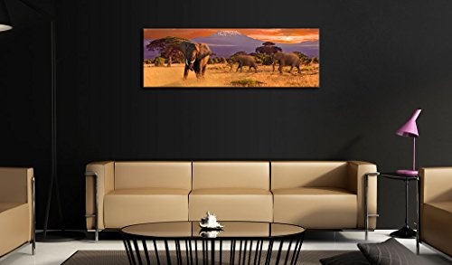 murando - Bilder 135x45 cm Vlies Leinwandbild 1 TLG Kunstdruck modern Wandbilder XXL Wanddekoration Design Wand Bild - Afrika 030112-57