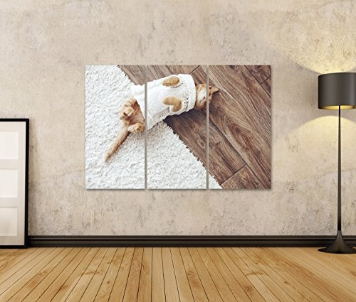 islandburner, Bild auf Leinwand Süßes kleines Ingwer-Kätzchen mit warmem Strickpullover schläft auf dem Boden, Draufsicht. Wandbild Poster Leinwandbild