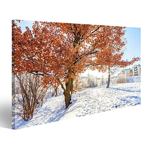 Bild auf Leinwand Frostige Bäume im verschneiten Wald, kaltes Wetter am sonnigen Morgen. Ruhige Winterlandschaft im Sonnenlicht. Inspirier Wandbild Leinwandbild Kunstdruck Poster 100x57cm