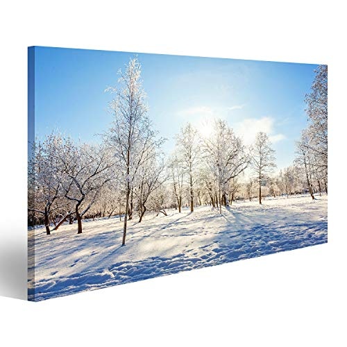 Bild auf Leinwand Frostige Bäume im verschneiten Wald, kaltes Wetter am sonnigen Morgen. Ruhige Winterlandschaft im Sonnenlicht. Inspirier Wandbild Leinwandbild Kunstdruck Poster 80x40cm