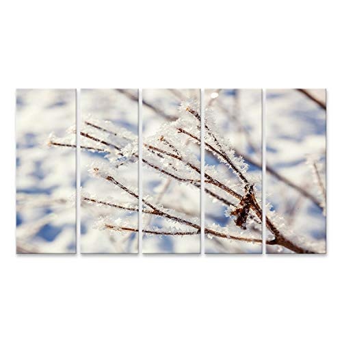 Bild Bilder auf Leinwand Eisiger Baumast im schneebedeckten Wald, kaltes Wetter am sonnigen Morgen. Ruhige Winternatur im Sonnenlicht. Inspirational natürlicher Wintergarten oder Park. Ruhig