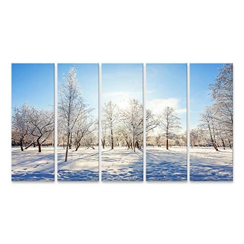 Bild Bilder auf Leinwand Eisige Bäume im...