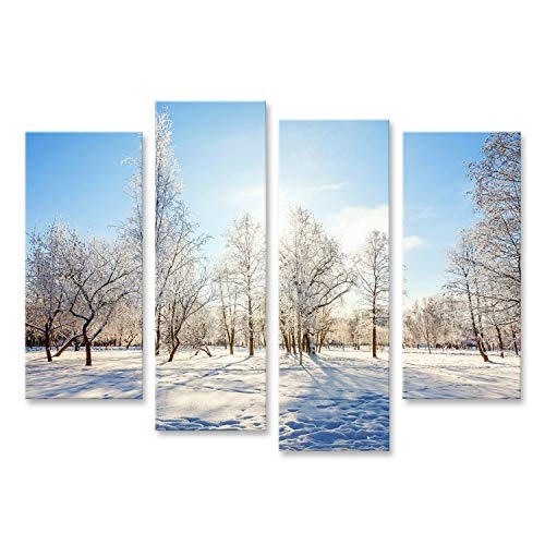 Bild Bilder auf Leinwand Eisige Bäume im schneebedeckten Wald, kaltes Wetter am sonnigen Morgen. Ruhige Winternatur im Sonnenlicht. Inspirational natürlicher Wintergarten oder Park. Ruhiger