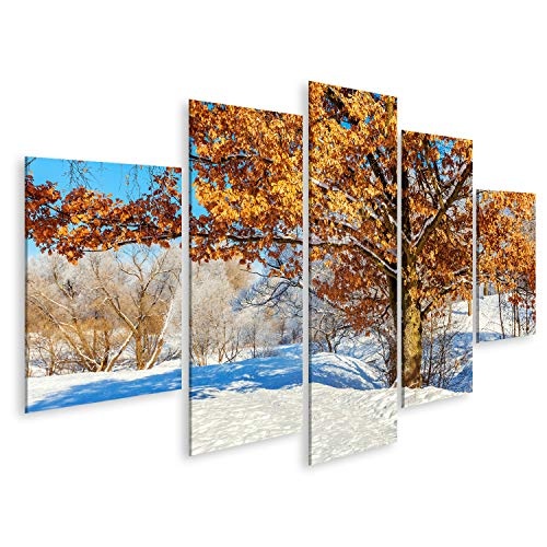 Bild Bilder auf Leinwand Eisige Bäume im schneebedeckten Wald, kaltes Wetter am sonnigen Morgen. Ruhige Winternatur im Sonnenlicht. Inspirational natürlicher Wintergarten oder Park. Ruhiger