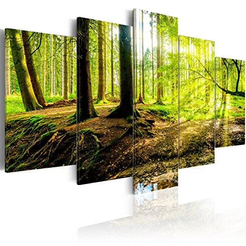 murando - Acrylglasbild Abstrakt 100x50 cm - Bilder Wandbild - modern - Decoration- 5 Teilig Wald c-B-0175-k-m