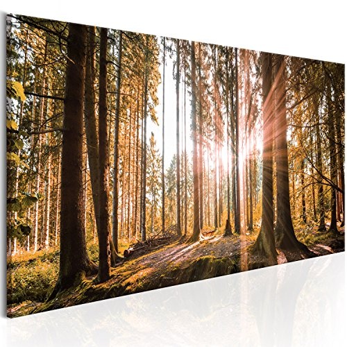 murando - Bilder Wald 150x50 cm Vlies Leinwandbild 1 TLG...