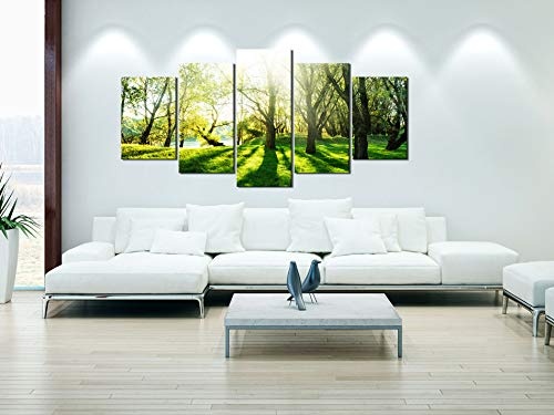 murando Akustikbild Natur Bäume 200x100 cm Bilder...