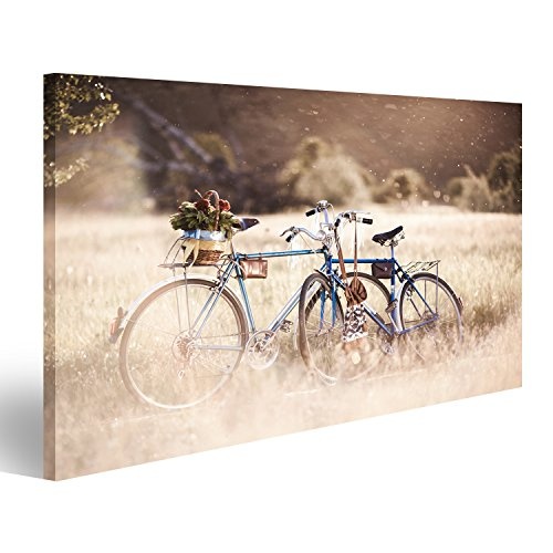 islandburner Bild auf Leinwand Schöne Landschaft Bild mit Fahrrad und Blume bei Sonnenuntergang Wandbild, Poster, Leinwandbild FUR