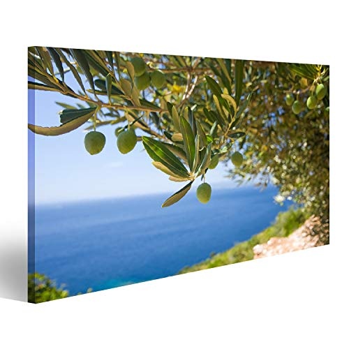 islandburner Bild Bilder auf Leinwand EIN Olivenbaum auf dem Seehinterund Wandbild, Poster, Leinwandbild OOU