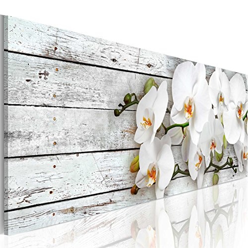 murando - Bilder 150x50 cm Vlies Leinwandbild 1 TLG Kunstdruck modern Wandbilder XXL Wanddekoration Design Wand Bild - Orchidee Blumen b-A-0072-b-d