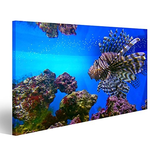 islandburner Bild auf Leinwand Wandbild Leinwandbild Bilder Poster Lionfish Feuerfisch Aquarium schwimmt unter Wasser Wandbild, Poster, Leinwandbild