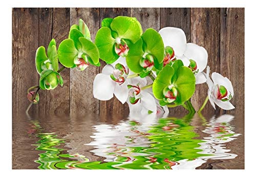 murando - Fototapete 50x35 cm - Vlies Tapete - Moderne Wanddeko - Design Tapete - Wandtapete - Wand Dekoration - Blumen Wasser Holz Bretter violett weiß rot grün Natur b-A-0015-a-d