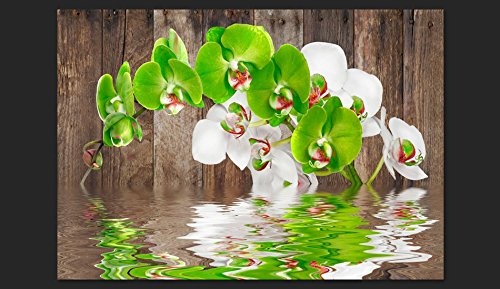 murando - Fototapete 50x35 cm - Vlies Tapete - Moderne Wanddeko - Design Tapete - Wandtapete - Wand Dekoration - Blumen Wasser Holz Bretter violett weiß rot grün Natur b-A-0015-a-d