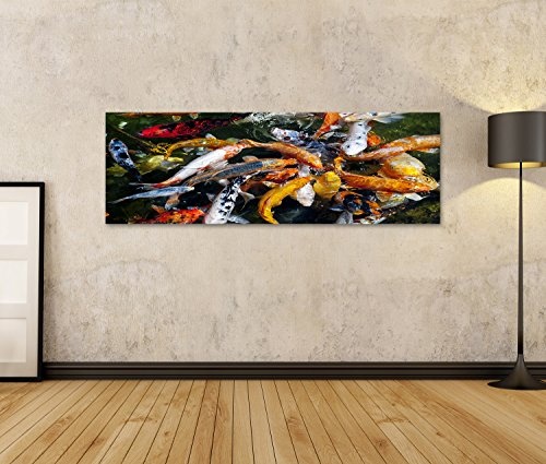 islandburner Bild Bilder auf Leinwand tolle Koi Fische im Wasser Poster, Leinwandbild, Wandbilder