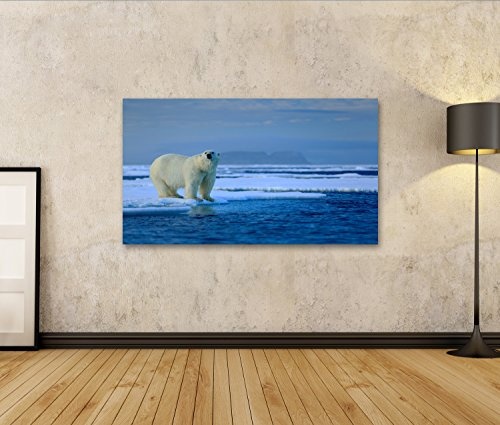 islandburner Bild Bilder auf Leinwand Großer Eisbär auf Treibeisrand mit Schnee EIN Wasser in arktischem Svalbard Wandbild, Poster, Leinwandbild HDH