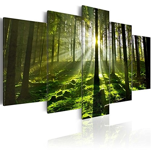 murando Akustikbild Landschaft Wald 225x112 cm Bilder...