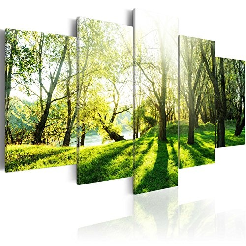 murando Akustikbild Natur Bäume 225x112 cm Bilder...