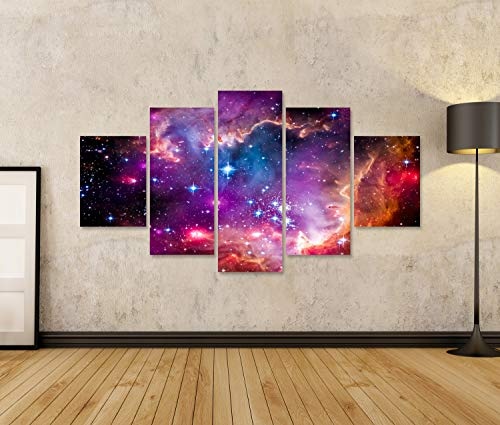 islandburner, Bild Bilder auf Leinwand Die Magellansche Wolke ist eine Zwerggalaxiund EIN galaktischer Nachbar der Milchstraße Wandbild, Poster, Leinwandbild OTC-MFP-DE6