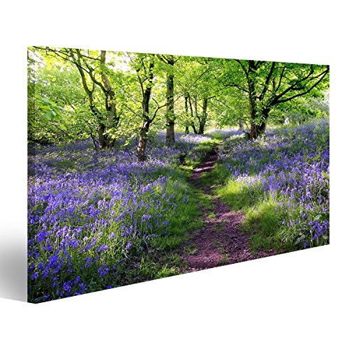 islandburner Bild Bilder auf Leinwand Blumen im Wald Lavendel Poster, Leinwandbild, Wandbilder