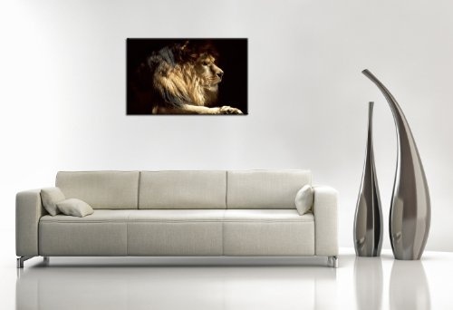 BERGER DESIGNS - Bild auf Leinwand - modern Art Design (Lion King 60x80 cm) Kunstdruck auf Rahmen mit Bilder Motiv (Tier Löwe Raubkatze Afrika Safari König) . 100% Made in Germany - Qualität aus Deutschland.