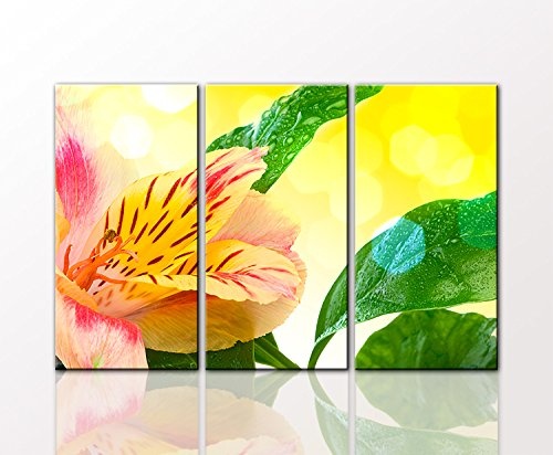 Berger Designs Blumenbild als 3 teiliger Kunstdruck flower and leave 80 x 125 cm (3 x 40x80 cm) auf Leinwand und Holzkeilrahmen - Beste Qualität, handgefertigt in Deutschland