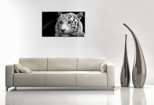 Im Angebot ! Bild auf Leinwand - modern Art Design (white_tiger-70x110cm) Kunstdruck auf Rahmen mit Bilder Motiv (Raubkatze Asien Tiere schwarz/weiß) . Schnäppchen, ideal als Geschenk für Familie & Freunde. Schöner wohnen mit Foto als Bild - Picture at Ho