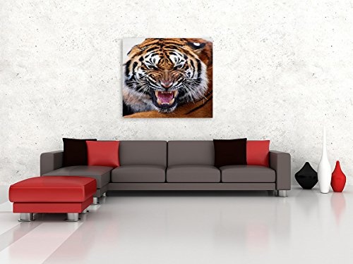 Bilderfabrik - Tierbild - Tiger - auf Leinwand und Holzkeilrahmen bespannt. Beste Qualität, handgefertigt in Deutschland. (80x80 cm)