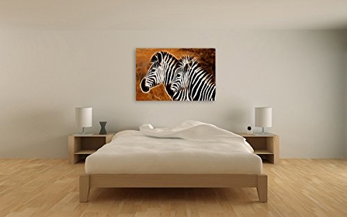 Bilderfabrik - Motiv Zebras auf Leinwand und Holzkeilrahmen bespannt. Beste Qualität, handgefertigt in Deutschland. (70x90 cm)